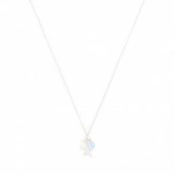 Bijoux Et Décorations Collier FOSSIL - Elliott Sea Stars JFS00573040 Silver Argent -Joop! Soldes Boutique 03 4064092136111 ks
